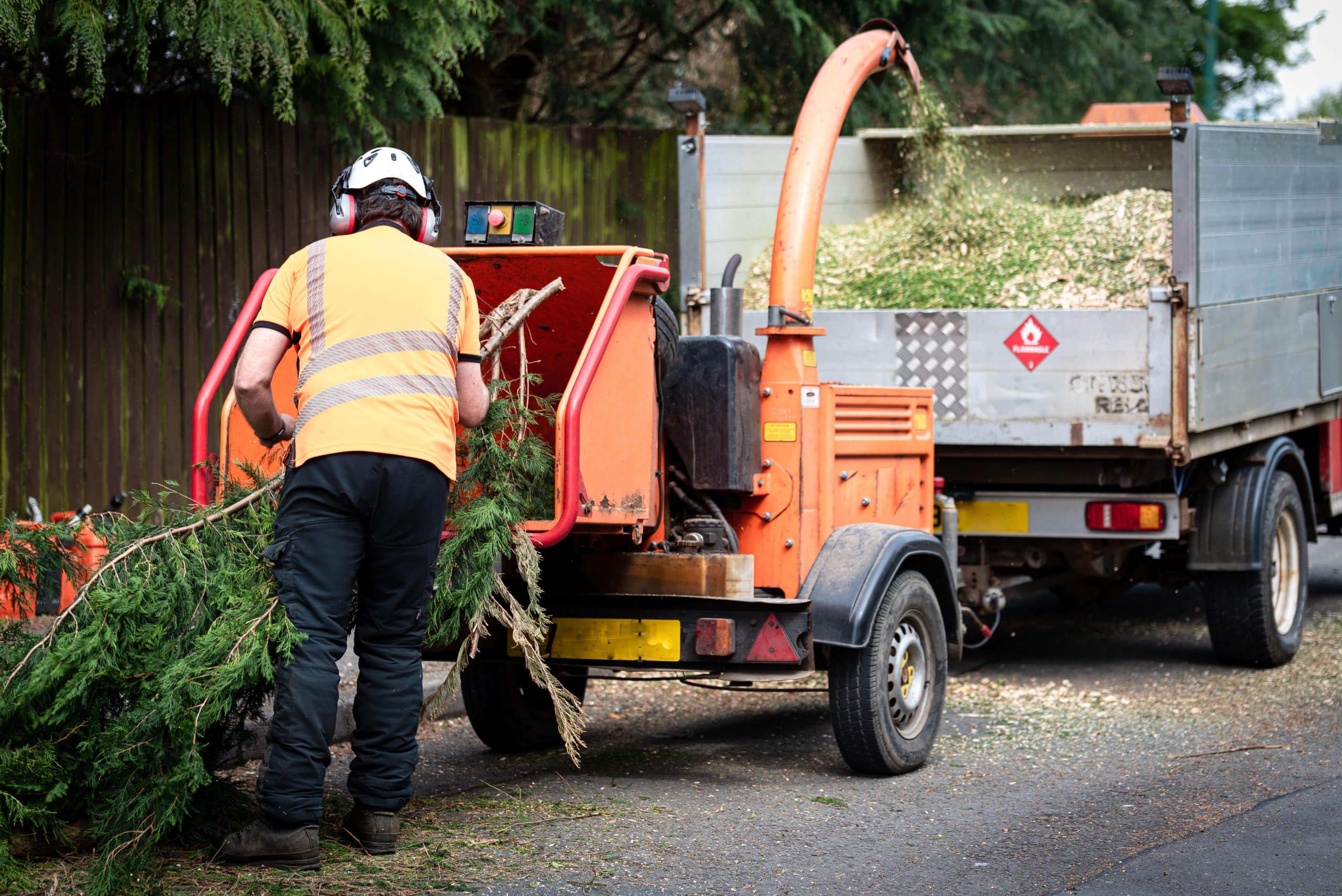Tree Stump Grinding/Removal Wimbledon SW19
